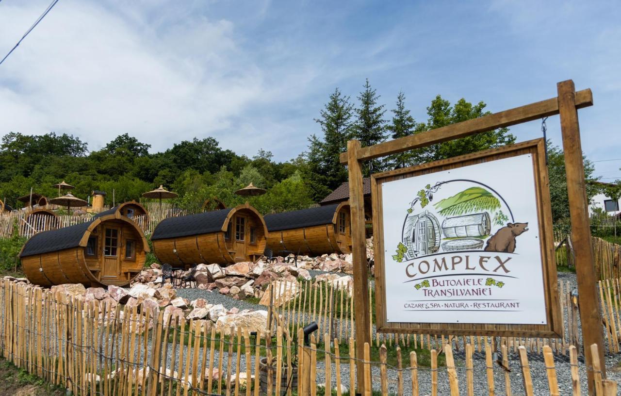 Complex Butoaiele Transilvaniei - Cazare & Spa - Natura - Relaxare Медиаш Экстерьер фото
